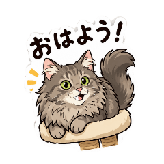 reisuke_20260512195756
