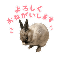 Tsum_20260512200247