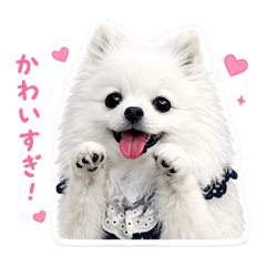 yuko_20260512200412
