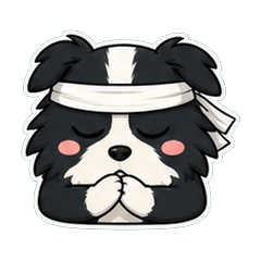 邊境牧羊犬 顏微妙 1◎