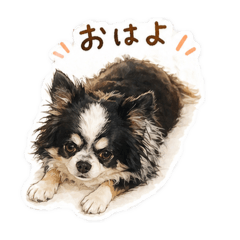 HanaHana_20260512204210