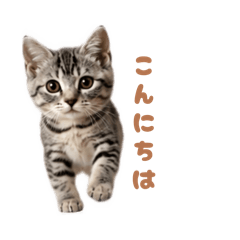 mog-mog_20260512204131