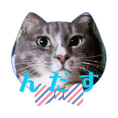 ginji.h_20260512205327