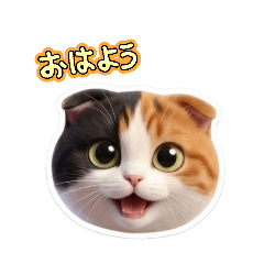 ririchan_20260512205756