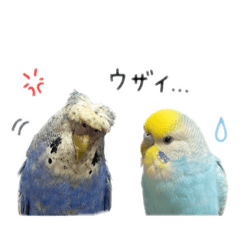 cocococococo_20260512210829