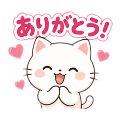 HaMu_20260512212216