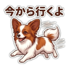 raito_20260512210358