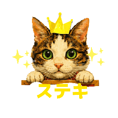 mittan_20260512213902