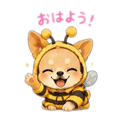 Moka_20260512213552