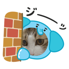 L L L_20260512220708