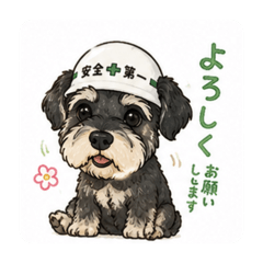 KO_20260512222419