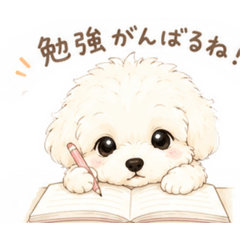 kirako_20260512212936