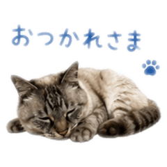 yuki_20260512222134