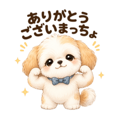 Shih Tzu Dad Jokes