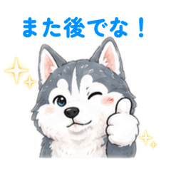 Koki_20260512225018