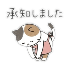 Cat's Daily Reactions: Emotions, Comfort