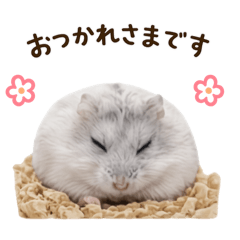 tashike_20260512233350