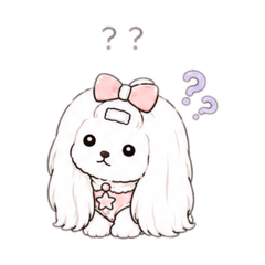 wanwan_20260512233748