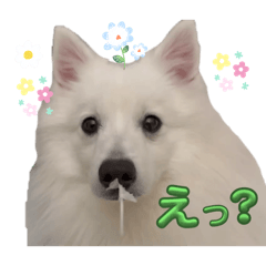 KUMA_20260512233414
