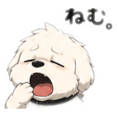chankuru_20260512233722