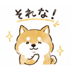 shiro_20260512235519