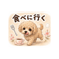 noko_20260514141203