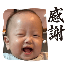 chinaoto studio_20260514142129