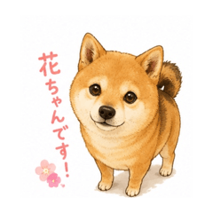 Mameshiba Hanachan