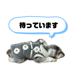 te_20260514143201