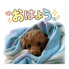 sk_20260514143606