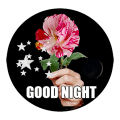 rose for you