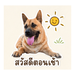 Hathairat Kongsaeng_20260430193020