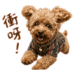阿光最愛的小布丁