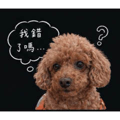 亮亮說 來吵架啊！