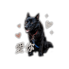 nono趙第二彈