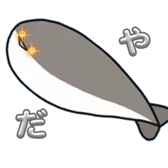 koukou.m_20260514182749