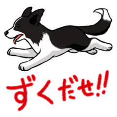 Shinsh!Words and dogs of Nagano 2