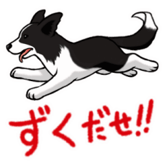 Shinshu! Words and dogs of Nagano