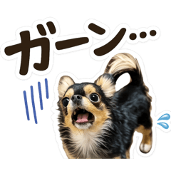raikun_20260513032159