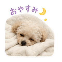 chama_20260513045838
