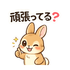 Fluffy Bunny Cute Questions