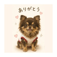 Hanni._20260513064119