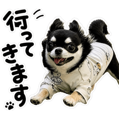 raikun_20260513062258