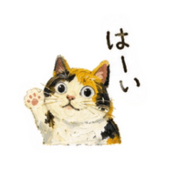 Ohanachan_20260513064942