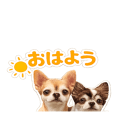 nana_20260514124119