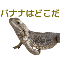 tun_20260514124136