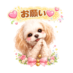 pyoko_20260514123606