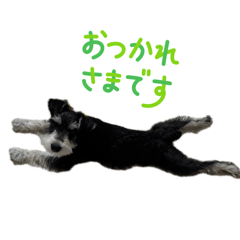 OREO B&S_20260514192240
