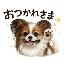 Papimaru_20260514194822