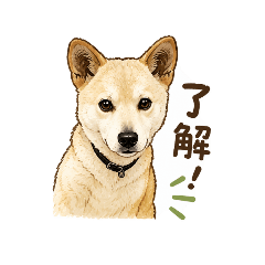 gon_20260514194733